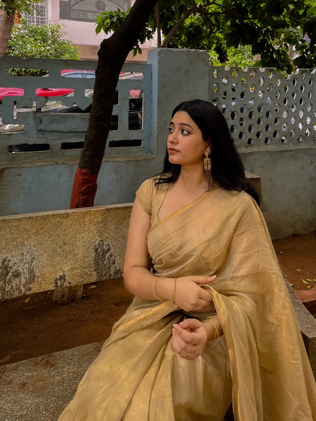 MAHESHWARI HANDWOVEN TISSUE PAIPIN SAREE